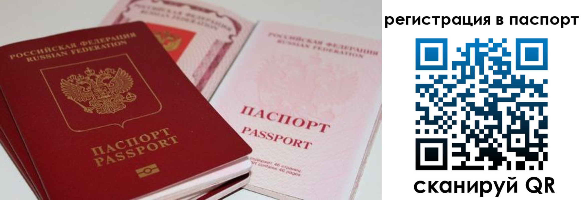 найти адрес прописки в Сураже